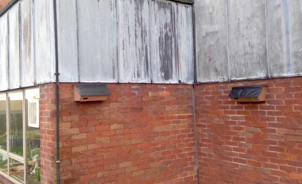 Swift nest boxes fitted on a building