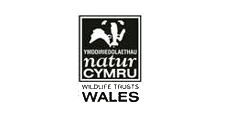 Wildlife Trust Wales Logo