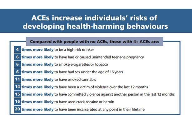 Diagram showing percentages of individuals' risk of developing health-harming behaviours