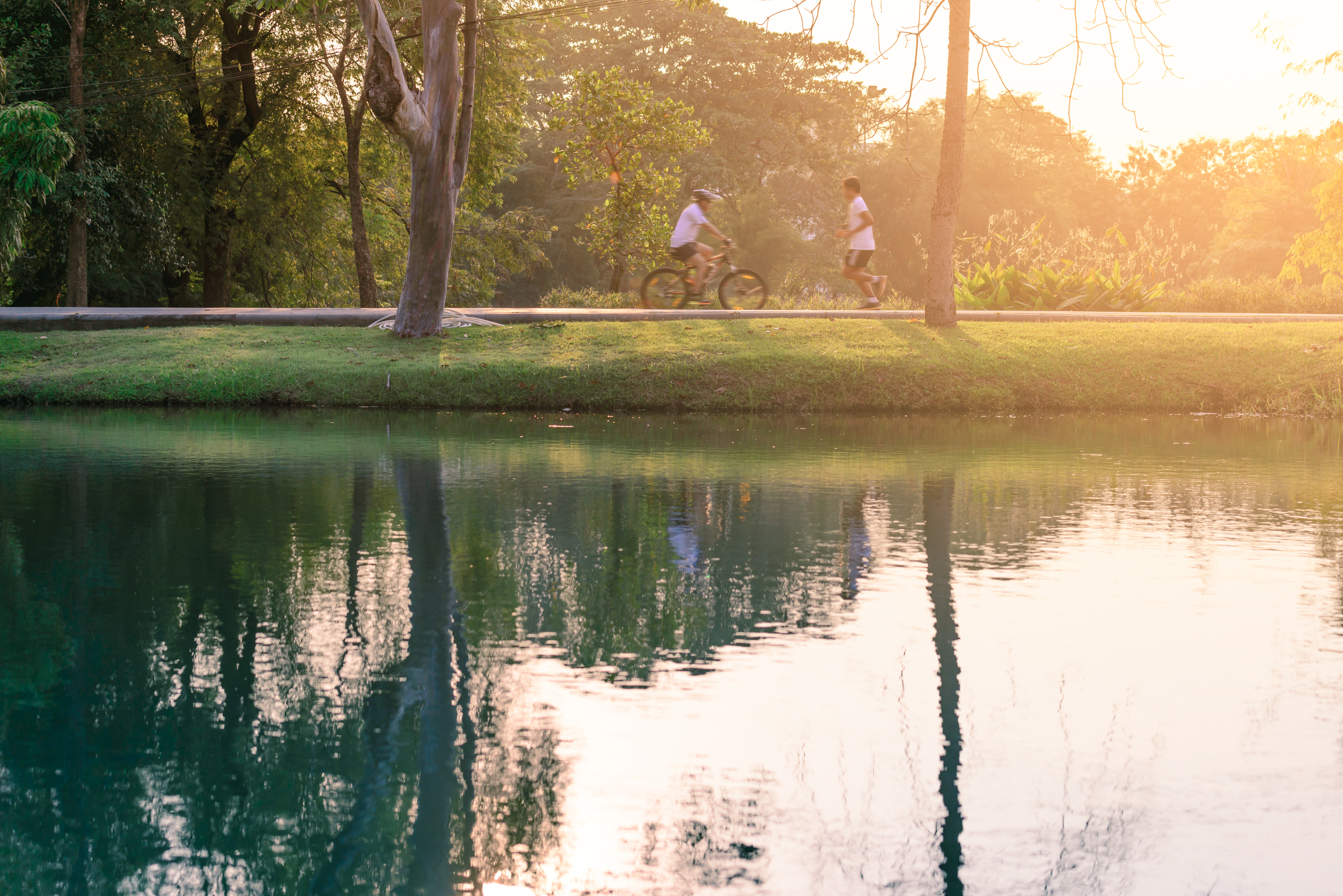 Green spaces photo