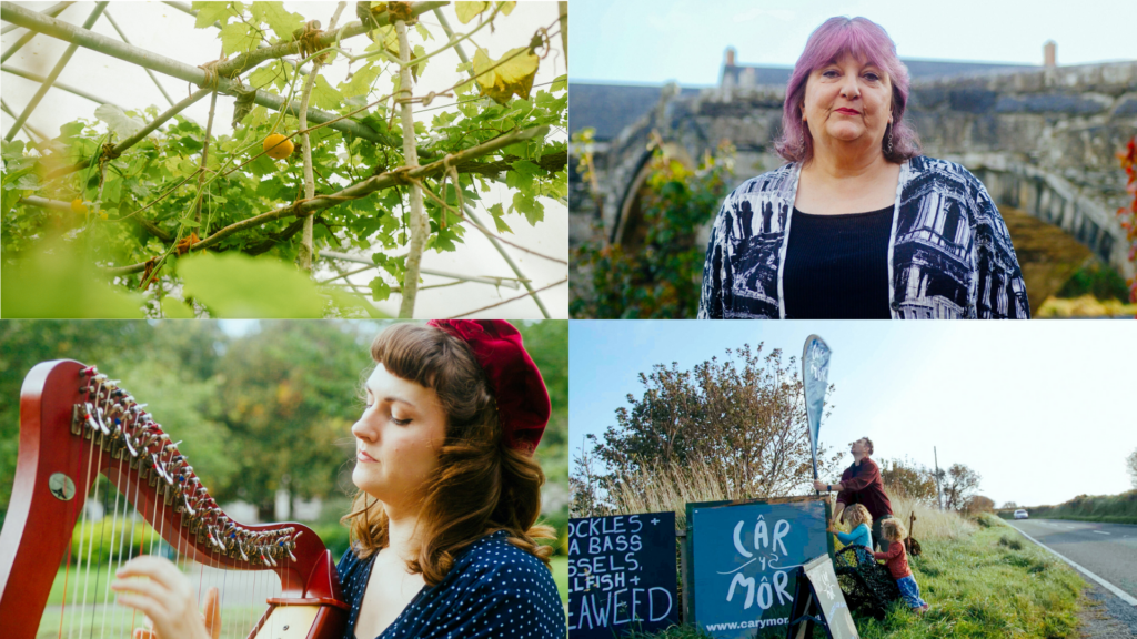 four images: top left; plants in a greenhouse, bottom left; Sam Hickman playing the harp, top right; Ruth Fabby, bottom right; three people putting up a sign at Car-y-Mor