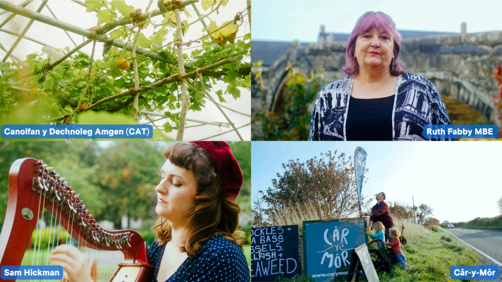 Collage of portraits of those featured in our Cymru Can video
